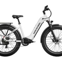 Mokwheel Basalt ST 2.0